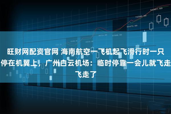 旺财网配资官网 海南航空一飞机起飞滑行时一只鸟停在机翼上，广州白云机场：临时停靠一会儿就飞走了