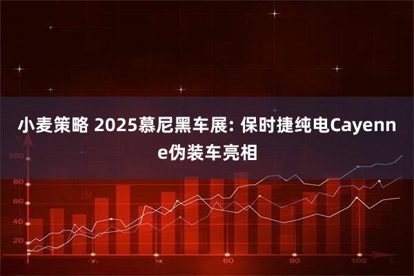 小麦策略 2025慕尼黑车展: 保时捷纯电Cayenne伪装车亮相