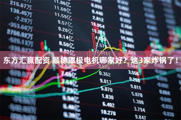 东方汇赢配资 顺德罩极电机哪家好？这3家炸锅了！