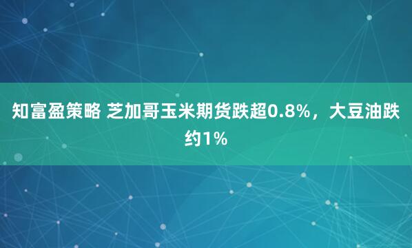 知富盈策略 芝加哥玉米期货跌超0.8%，大豆油跌约1%